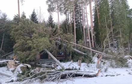 Myrskytuhojen siivous ja puunkaato Vehmaalla turvallisesti