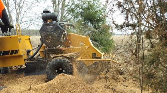 Kannonjyrstinää Paimiossa arboristin toimesta - Pipon Puunkaato