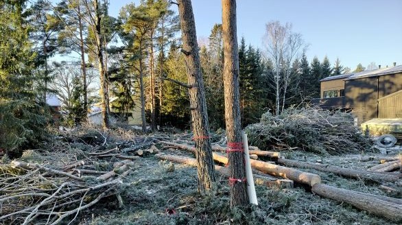 Ammattimainen tontin raivaus Turun Hirvensalossa – uudisrakennuspaikan raivaus ja puiden poisto rakennustöiden tieltä.