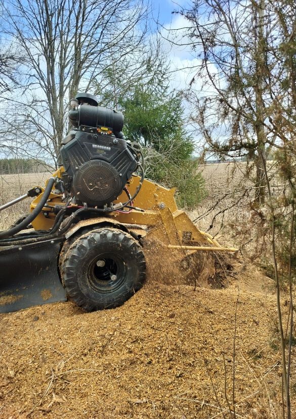 Ammattimainen pihapuun kaato ja kantojyrsintä Paimiossa – Pipon Puunkaato