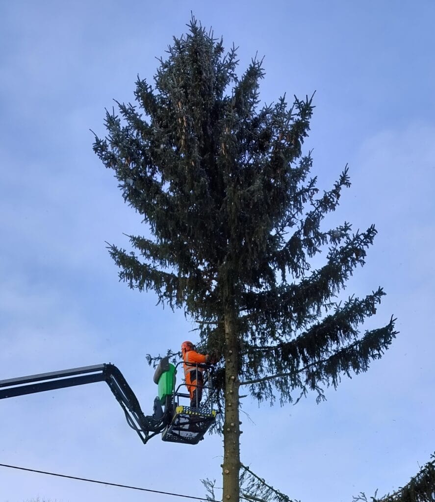 Puunkaato nostokorista ja henkilönostimesta käsin Kaarinassa. Arboristi karsii suuren puun oksia paloittain tiiviillä pientaloalueella.