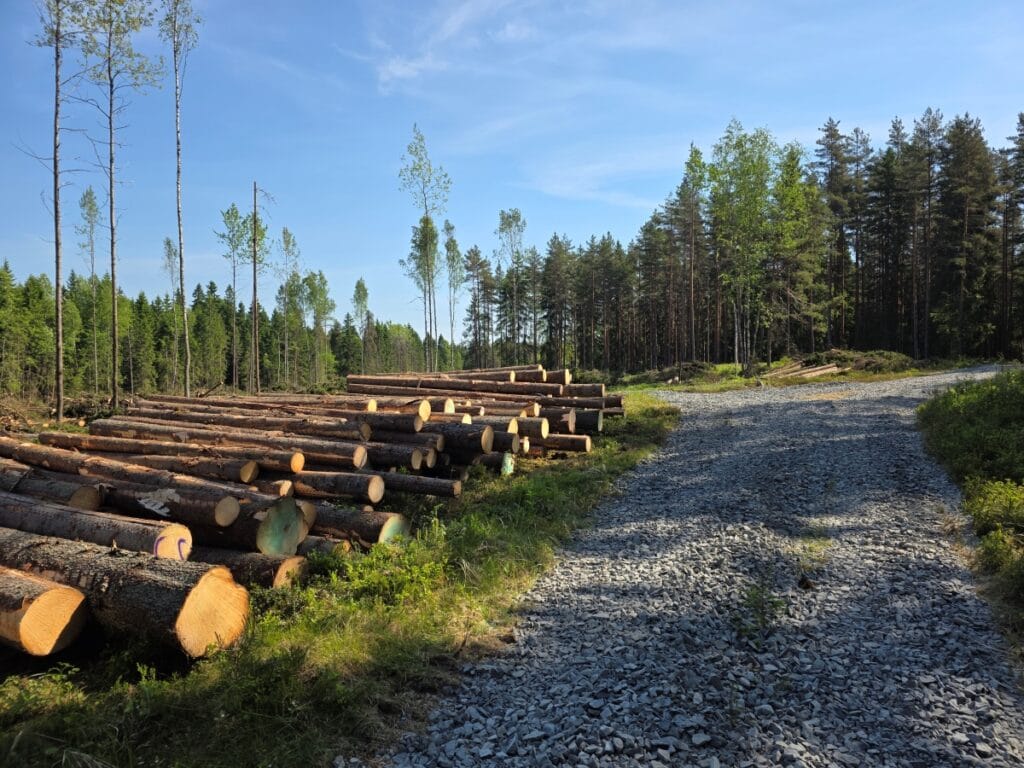 Uudistushakkuu käynnissä metsätontilla Salon Kiskossa. Taustalla näkyy tukkia ja säästöpuita